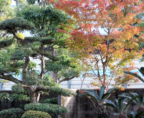 善立寺の歴史イメージ画像01